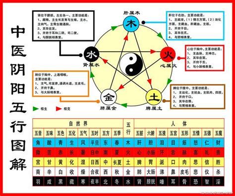 五行相生表|一分钟记住，五行相生相克。